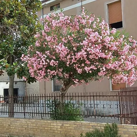 La Magnolia Apartment